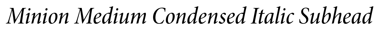 Minion Medium Condensed Italic Subhead